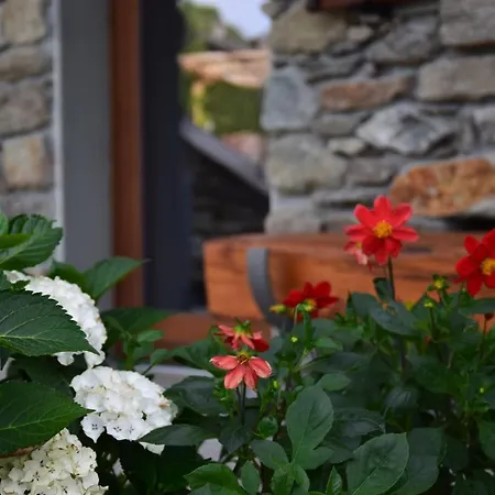Dom wakacyjny La Volta - Heritage In Molino Maufet Watermill - Patio On The Garden *