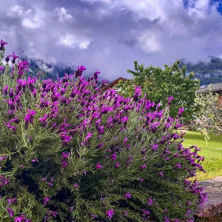 La Volta - Historic Molino Maufet Watermill - 펜션 콜리코